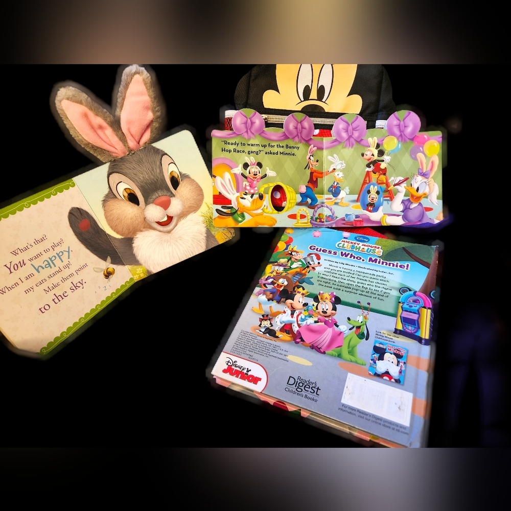 Disney Backpack And Book Bundle